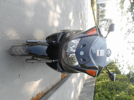 ขาย YAMAHA Majesty 250 Skyliner  2002