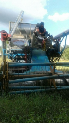 ขายรถเกี่ยวข้าว ไทยเจริญเครื่อง230เทอร์โบว์ ช่วงล่าง10เพลาใหญ่ ปั๊ม23อุ้ม2.5ตัน สภาพพร้อมใช้งาน