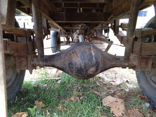 อิแต๋น สด 95000 อิแต๋น สด 95000