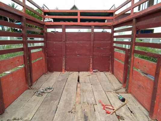 อิแต๋น สด 95000 อิแต๋น สด 95000