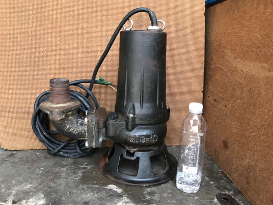 ขายได่โว่ Tsurumi 1HP. 380V made in Japan ใบดูดโคลน ขนาดท่อ 2นิ้ว สภาพสวยมากเดิมๆ วิ่งนิ่ม พร้อมใช้งาน ขายได่โว่ Tsurumi 1HP. 380V made in Japan ใบดูดโคลน ขนาดท่อ 2นิ้ว สภาพสวยมากเดิมๆ วิ่งนิ่ม พร้อมใช้งาน