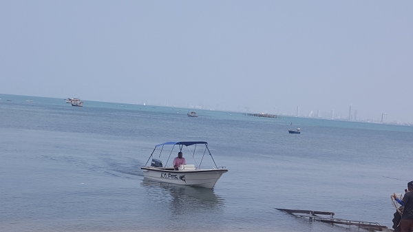 ขายเรือ