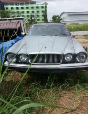 ขายด่วน จากั่ว 65,000