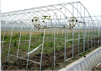 green house 6x24 เมตร