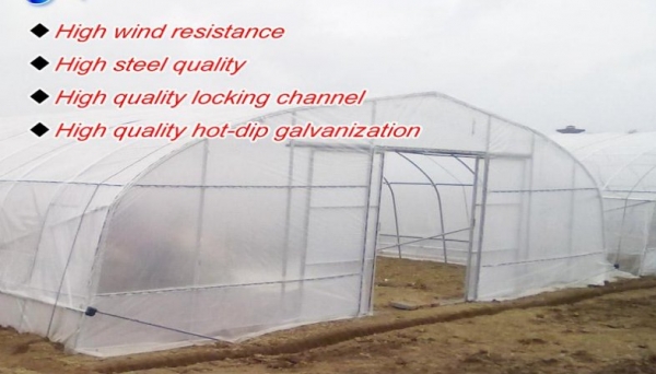 green house 6x24 เมตร