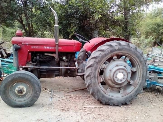 แมสซี่65 เครื่องแรงถูกๆ