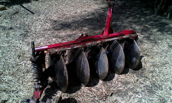 ผาน5LCS22นิ้วสวยๆใบเต็ม