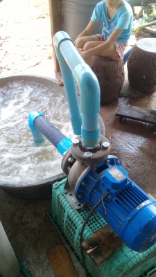 ปั้มน้ำสแตนเลสEBARA ปั้มน้ำสแตนเลสEBARA