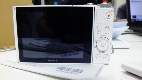 SONY DSC-WX500