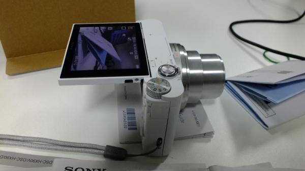SONY DSC-WX500