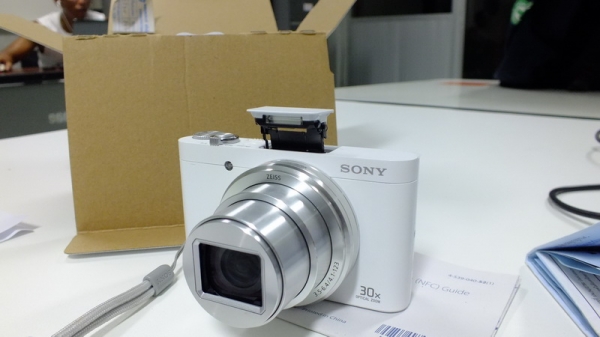 SONY DSC-WX500