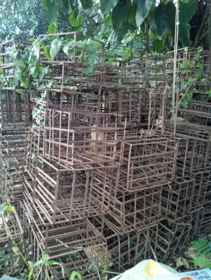 เครื่องผลิต ก้อนเห็ด เครื่องผลิต ก้อนเห็ด