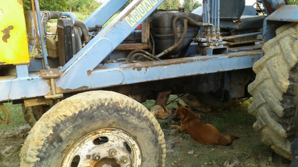 รถคีบอ้อยฟรอด6600 รถคีบอ้อยฟรอด6600