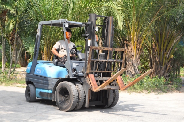 ขายFORKLIFT TOTOTA รุ่น6FD25(2.5ตัน งาเท ล้อหน้าคู่)ดีเซล2Z สวยเดิมจากญี่ปุ่น ยังไม่เคยใช้ในไทย 365,000เท่านั้น!!