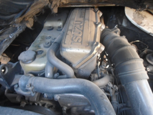 ขาย อิชุ บัดดี้มังกร90แห้งๆสวยจัดประหยัดสุดพร้อมใช้ถูกๆ