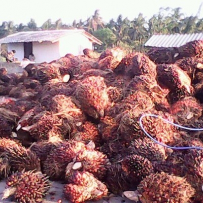 ขาย10 ล้อ ดั้ม อีซุ ร็อกกี้ 2 เพลา FXZ 240 นางฟ้าแท้ ปี 39