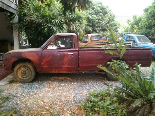 ช้างเหยียบ datsun620 5ขอ 20000 ช้างเหยียบ datsun620 5ขอ 20000