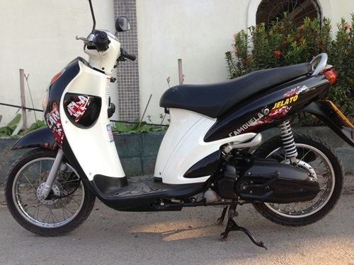 ขายjelatoสีดำปี2554