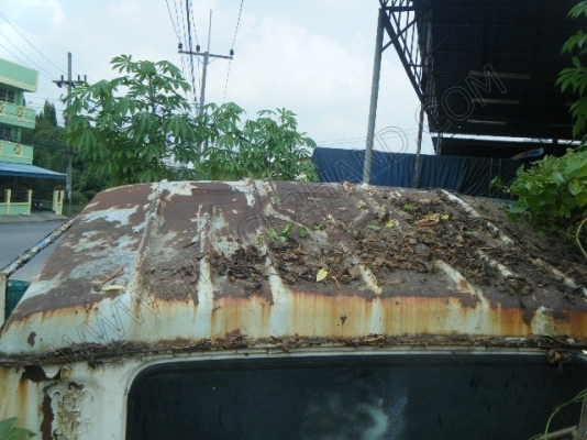 หัวเก๋ง รถบรรทุก 10 ล้อ ยี่ห้อ ISUZU รุ่น JCM หัวเก๋ง รถบรรทุก 10 ล้อ ยี่ห้อ ISUZU รุ่น JCM