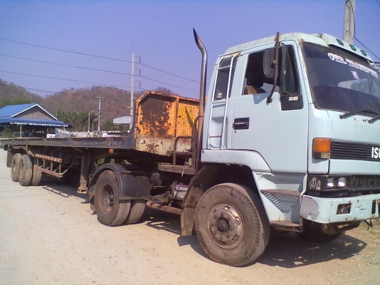 ขายด่วน หัวพร้อมหาง  สวยๆๆ