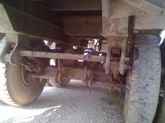 ขายด่วน หัวพร้อมหาง  สวยๆๆ