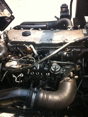 ISUZU 175 แรง สวยๆๆสุดๆๆ