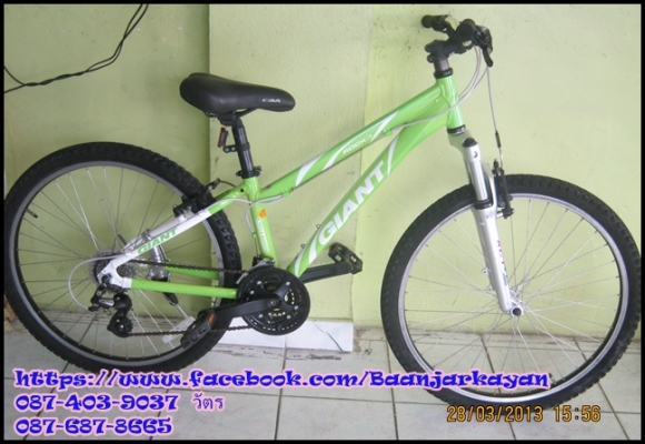 Giant Rock 4500 Size 13"