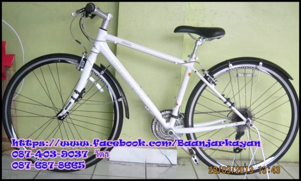 Giant Escape R3 size XS