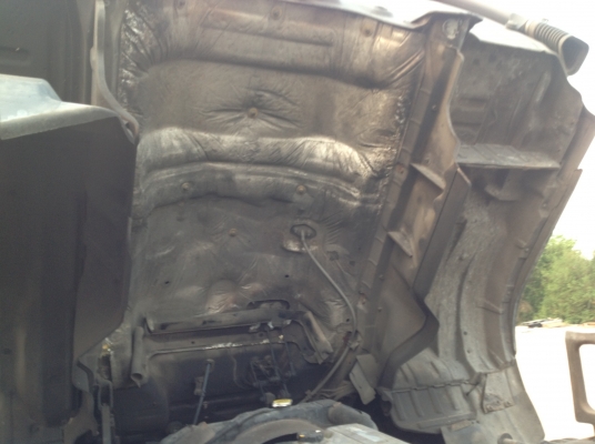 ขายด่วน FM1J หัวคัทซีสวยๆ