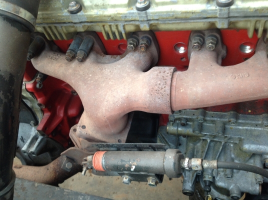 ขายด่วน FM1J หัวคัทซีสวยๆ