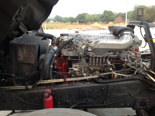 ขายด่วน FM1J หัวคัทซีสวยๆ