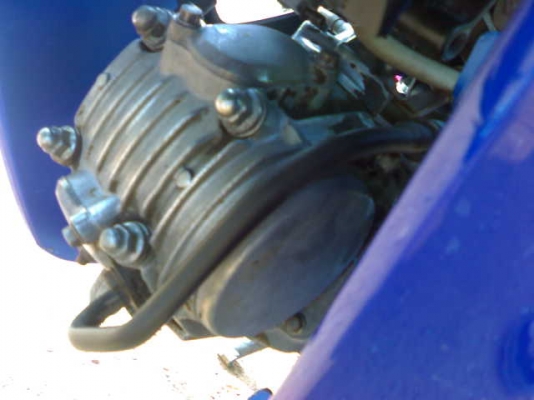 ดรีม125ปี51 สวย