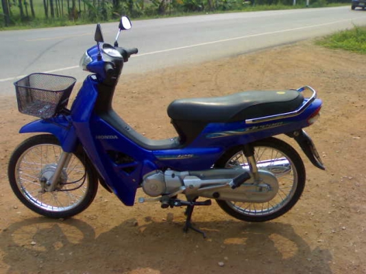 ดรีม125ปี51 สวย