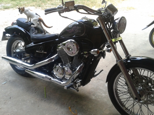 ขาย HONDA Steed 400 ปี 2008 ทะเบียนแท้ ป้าย 888