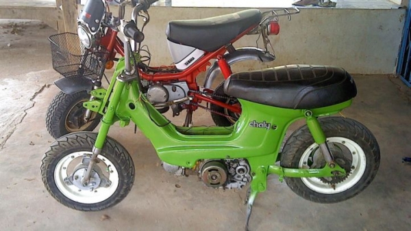 ขายชาลีไฟล่างสีเขียว 8800 บาท ตามรูป+(เพิ่มชาลีหนุ่ม..ติดทหาร) โทร 090-7960321