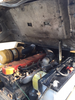 TCM FD40Z7 เครื่องดีเซล เกียร์ออโต้ เสาสูง4เมตร สนใจติดต่อ 083-062-0223(ปอน)