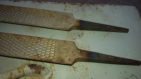 บุ้งท้องปลิง