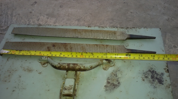 บุ้งท้องปลิง