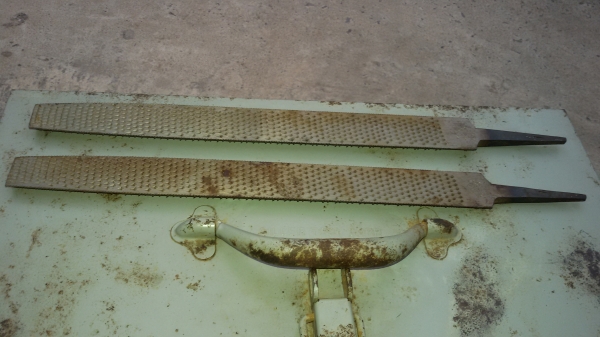 บุ้งท้องปลิง