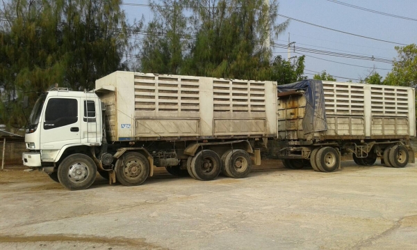 พ่วง ISUZU FXZ270  ปี 45 เครื่องส้ม ยูโรวัน กระบะเหล็กดั้ม ตัวแม่สามมิตร ตัวลูกพนัส เครื่อง เกียร์  เดิม ๆ ราคา 1.45 ล้าน ต่อรอง