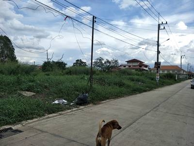 ขายที่ดินเปล่าถมแล้วรังสิต จังหวัดปทุมธานี
