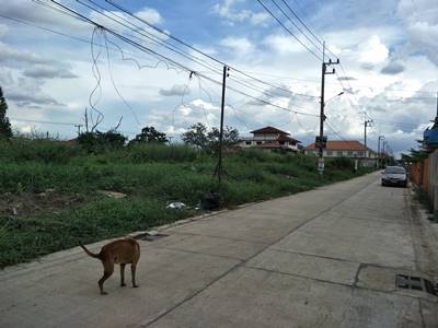 ขายที่ดินเปล่าถมแล้วรังสิต จังหวัดปทุมธานี