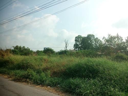 ขายที่ดินเปล่าถมแล้วรังสิต จังหวัดปทุมธานี