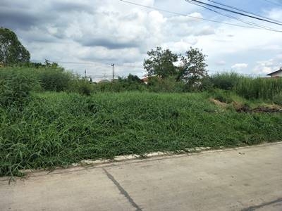 ขายที่ดินเปล่าถมแล้วรังสิต จังหวัดปทุมธานี