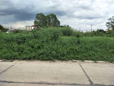 ขายที่ดินเปล่าถมแล้วรังสิต จังหวัดปทุมธานี
