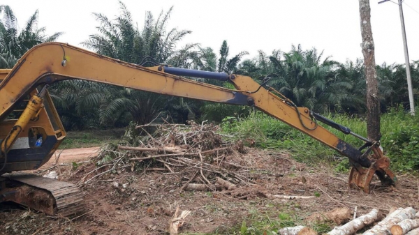 ขายด่วน!! Kobelco Sk04ให้บุ้งกี๋+หัวคีบค่ะ ขายด่วน!! Kobelco Sk04ให้บุ้งกี๋+หัวคีบค่ะ