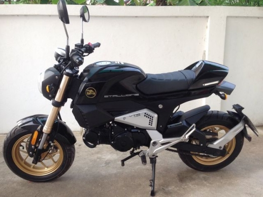 Stallons VTR 125i Mini Bike Scrambler หัวฉีด สวยใหม่ รถ4เดือนวิ่ง พันโล สภาพป้ายแดง