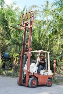 ขายFORKLIFT NISSAN FG10 สุดสวย(1.ตัน) เสา3เมตร สวยเดิมจากญี่ปุ่น ยังไม่เคยใช้ในไทย 85,000เท่านั้น!!