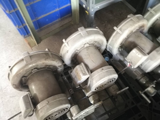 2000 บ. ส่งฟรี 083-2000058 ริงโบลเวอร์ืยี่ห้อ FUJI ดูด-เป่ากำลังแรง กำลัง 550/850 W. ต่อให้พร้อมเสียบไฟบ้าน 220 V.ใช้งานได้เลย(มีหลายตัว)