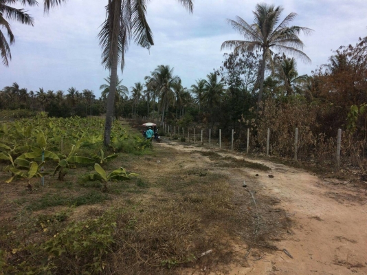 Land for sale โฉนดที่ดิน 7-2-0 ไร่